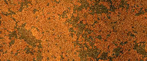 Rust TextureTutorial, photoshop texture, rust background